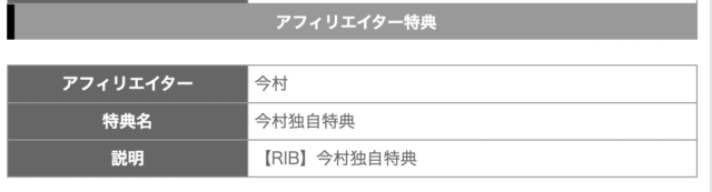 RIB　Report Incentive Business　藤田仁
